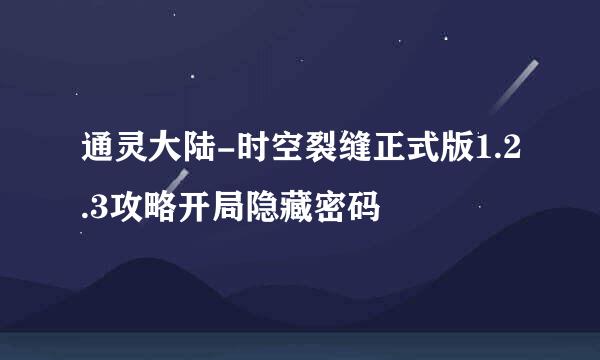 通灵大陆-时空裂缝正式版1.2.3攻略开局隐藏密码
