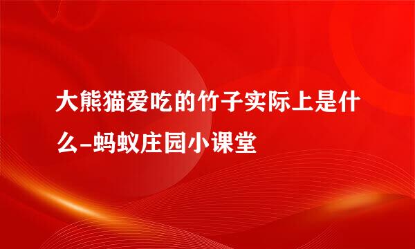 大熊猫爱吃的竹子实际上是什么-蚂蚁庄园小课堂