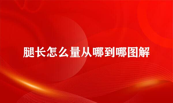 腿长怎么量从哪到哪图解