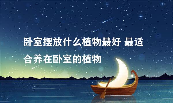 卧室摆放什么植物最好 最适合养在卧室的植物