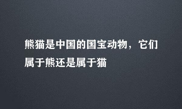 熊猫是中国的国宝动物，它们属于熊还是属于猫