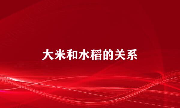 大米和水稻的关系