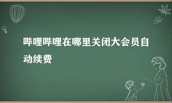 哔哩哔哩在哪里关闭大会员自动续费