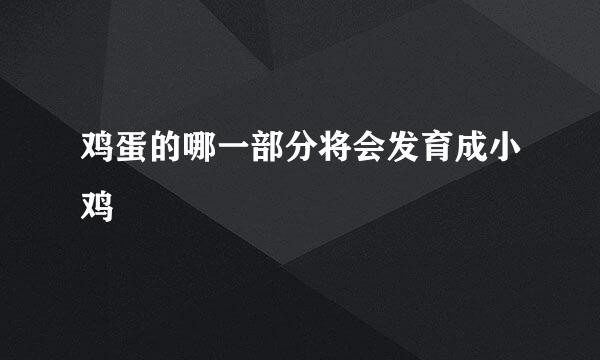 鸡蛋的哪一部分将会发育成小鸡