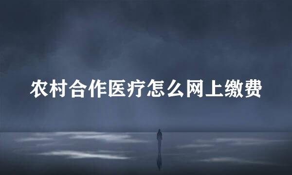 农村合作医疗怎么网上缴费