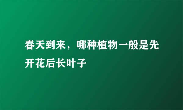 春天到来，哪种植物一般是先开花后长叶子