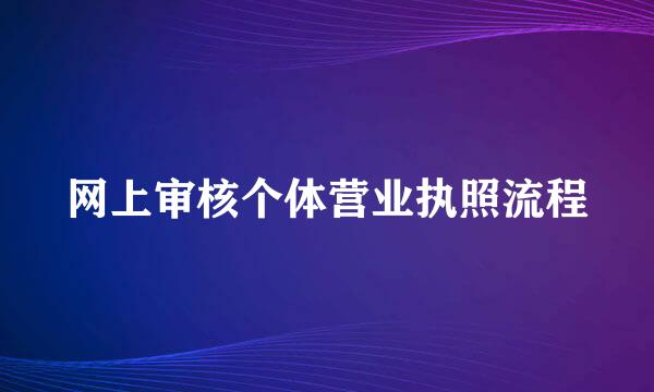 网上审核个体营业执照流程