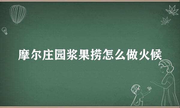 摩尔庄园浆果捞怎么做火候