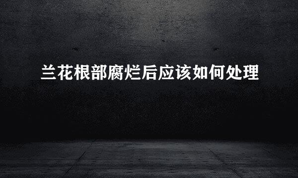 兰花根部腐烂后应该如何处理