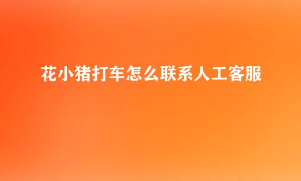 花小猪打车怎么联系人工客服