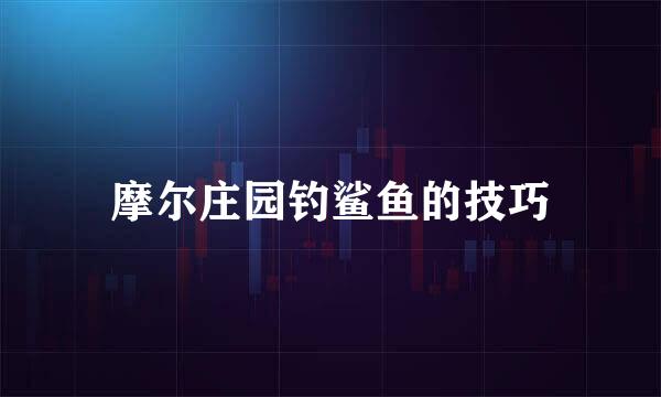 摩尔庄园钓鲨鱼的技巧