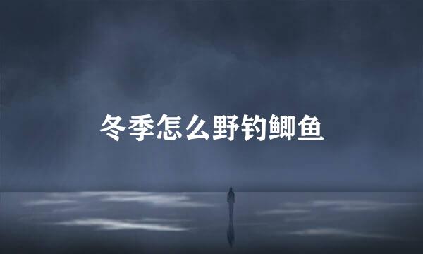 冬季怎么野钓鲫鱼