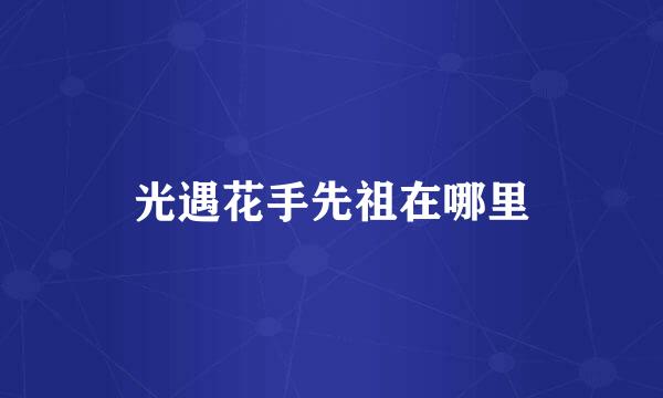 光遇花手先祖在哪里