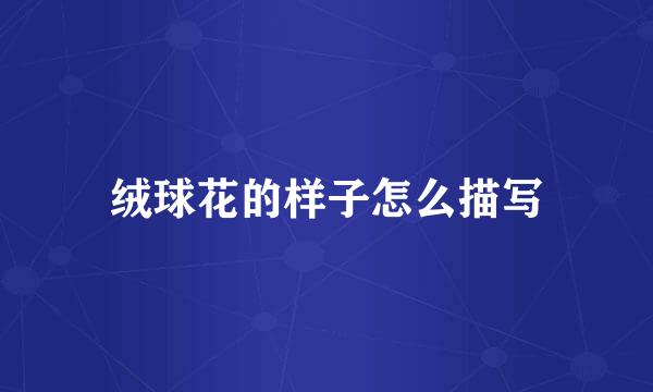 绒球花的样子怎么描写