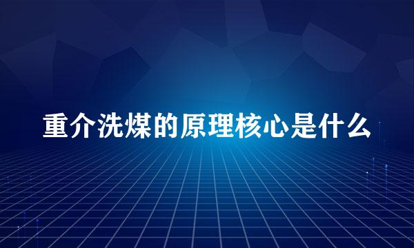 重介洗煤的原理核心是什么