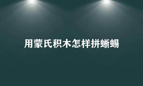 用蒙氏积木怎样拼蜥蜴