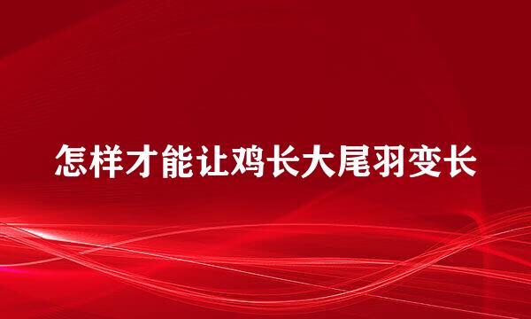 怎样才能让鸡长大尾羽变长