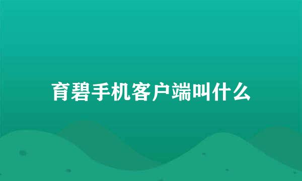 育碧手机客户端叫什么