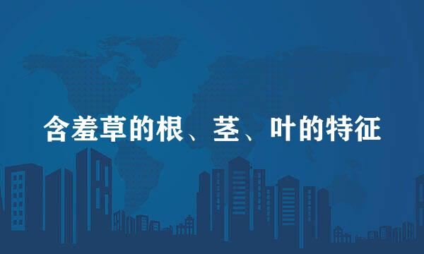 含羞草的根、茎、叶的特征