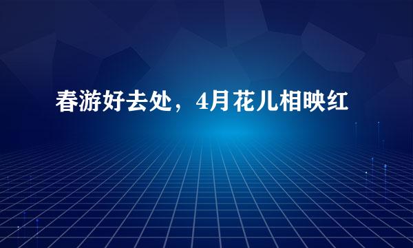 春游好去处，4月花儿相映红