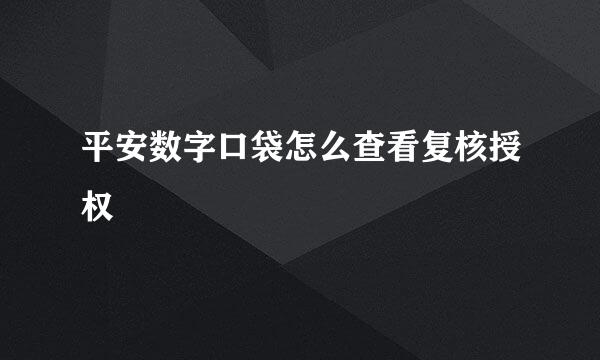 平安数字口袋怎么查看复核授权