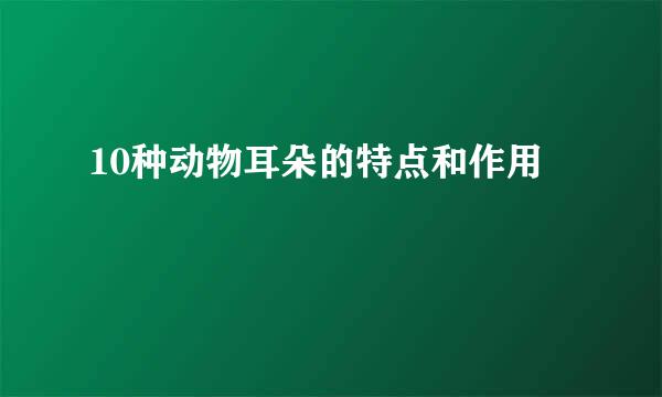 10种动物耳朵的特点和作用