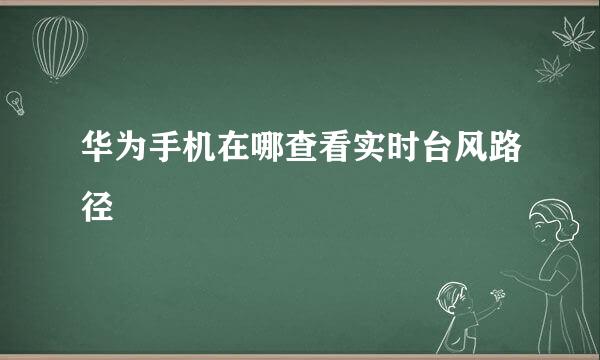 华为手机在哪查看实时台风路径