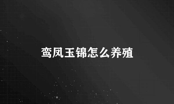 鸾凤玉锦怎么养殖