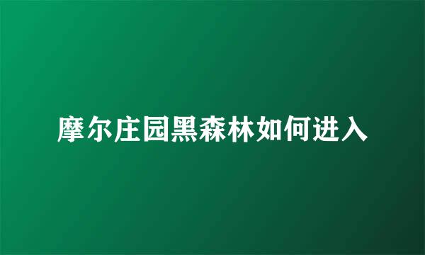 摩尔庄园黑森林如何进入