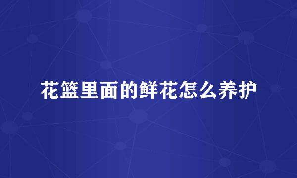 花篮里面的鲜花怎么养护