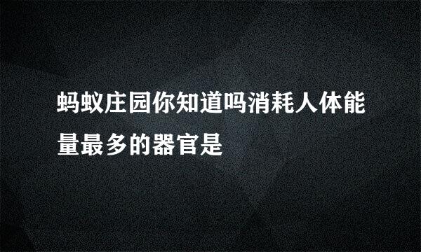 蚂蚁庄园你知道吗消耗人体能量最多的器官是