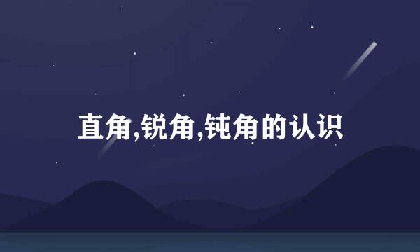 直角,锐角,钝角的认识