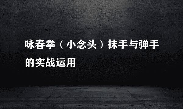 咏春拳（小念头）抹手与弹手的实战运用