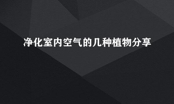 净化室内空气的几种植物分享