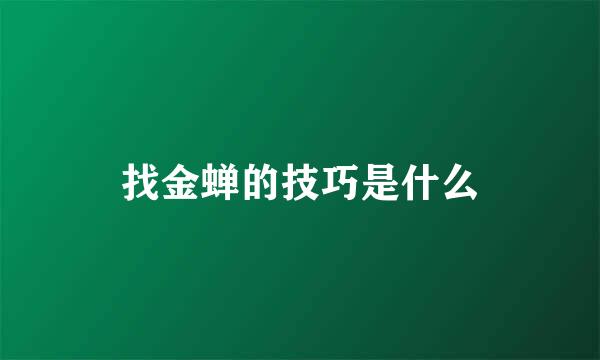 找金蝉的技巧是什么