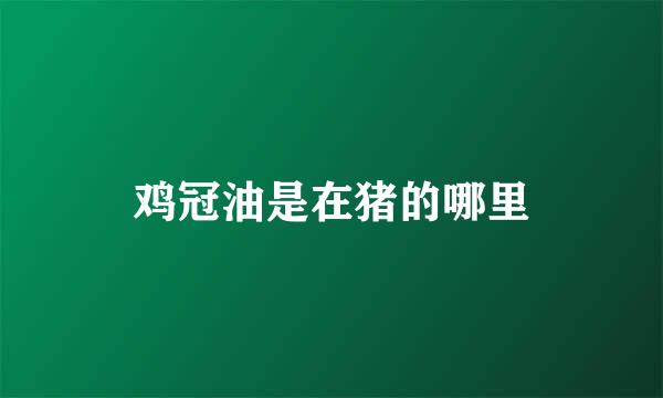 鸡冠油是在猪的哪里