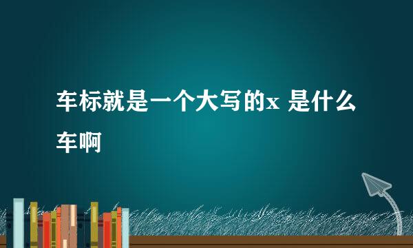 车标就是一个大写的x 是什么车啊