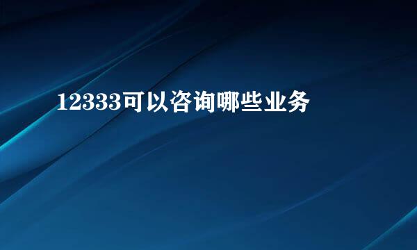 12333可以咨询哪些业务