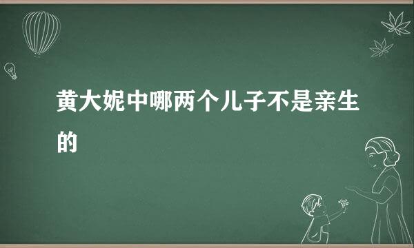 黄大妮中哪两个儿子不是亲生的