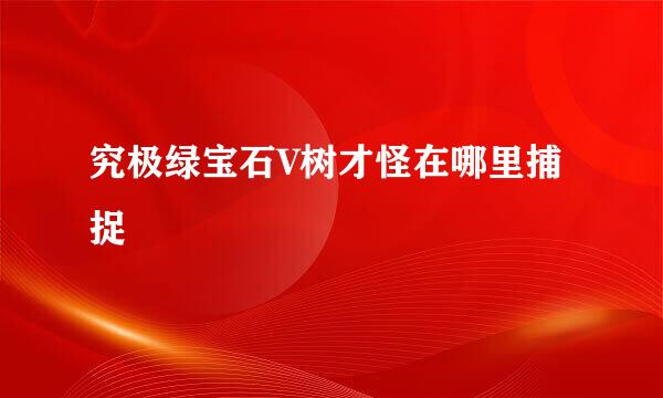 究极绿宝石V树才怪在哪里捕捉