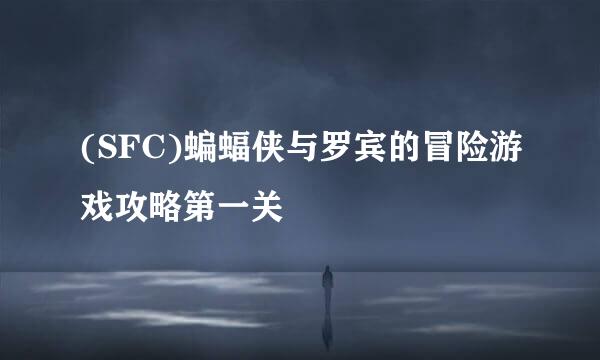 (SFC)蝙蝠侠与罗宾的冒险游戏攻略第一关