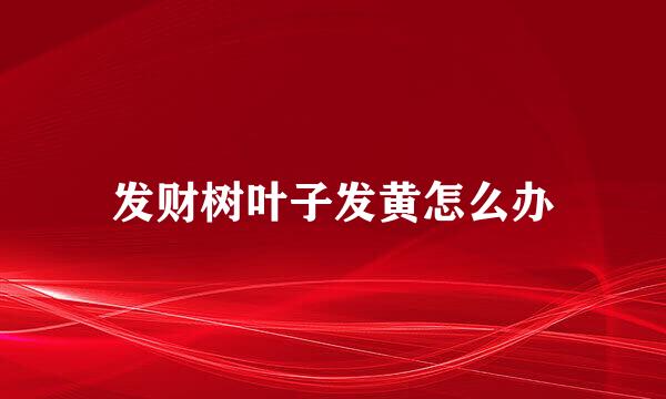发财树叶子发黄怎么办