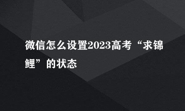 微信怎么设置2023高考“求锦鲤”的状态
