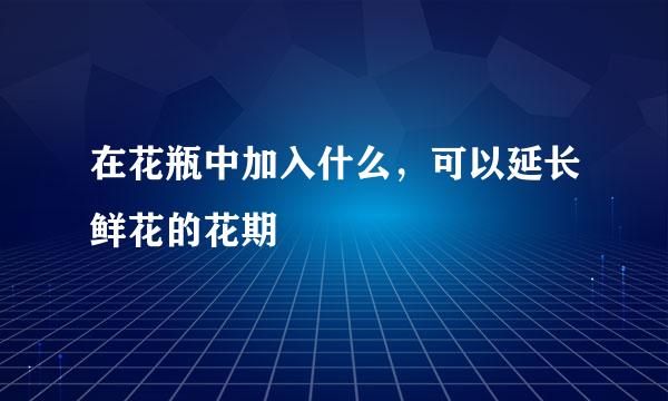 在花瓶中加入什么，可以延长鲜花的花期