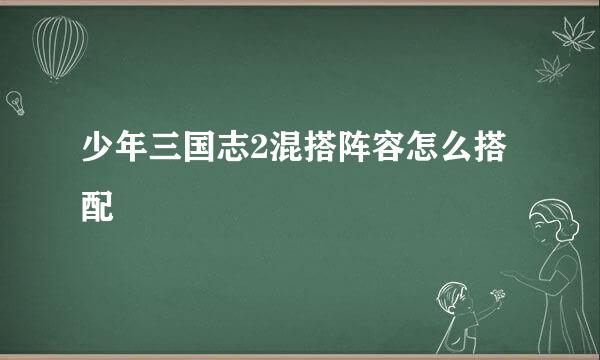 少年三国志2混搭阵容怎么搭配