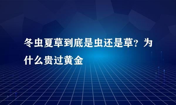 冬虫夏草到底是虫还是草?为什么贵过黄金