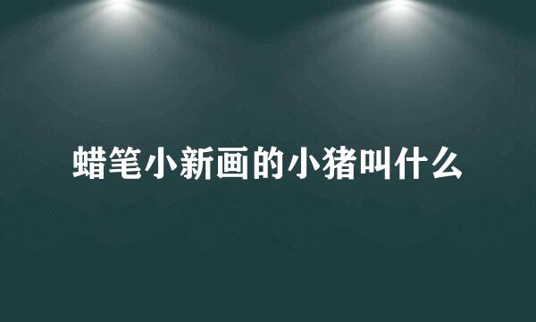 蜡笔小新画的小猪叫什么