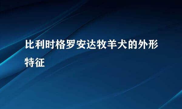 比利时格罗安达牧羊犬的外形特征