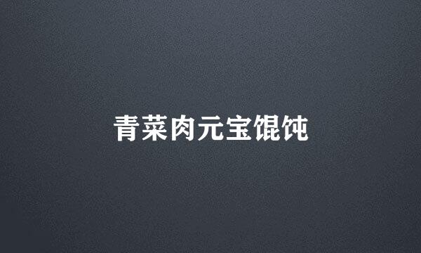 青菜肉元宝馄饨