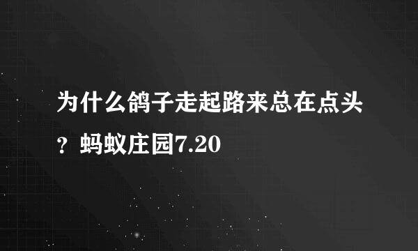 为什么鸽子走起路来总在点头？蚂蚁庄园7.20